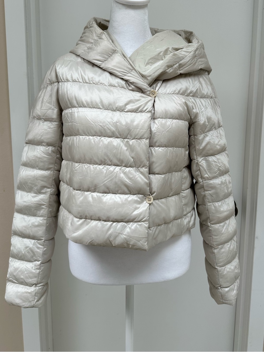 MaxMara The Cube Down Jacket